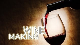 How To Make Wine - The Best!