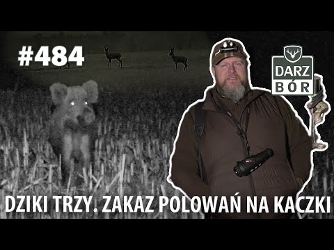 Darz Bór odc. 484 „Dziki Trzy. Zakaz polowań na kaczki”