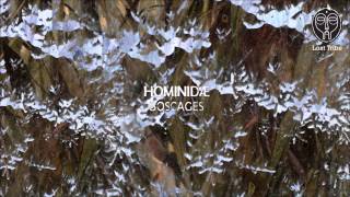 Hominidae - Quarry