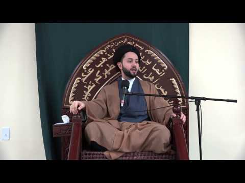 ⁣Multiplicity of Assets - Sayed Jawad Al Qazwini