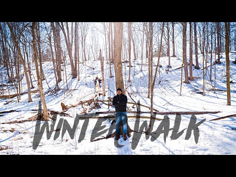 Winter Walk In The Woods | Brampton | 4K