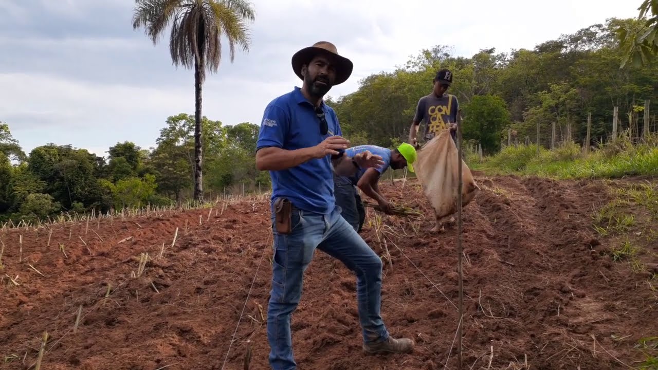 FABRICIO E O JEITO NOVO DE PLANTAR O CAPIAÇU
