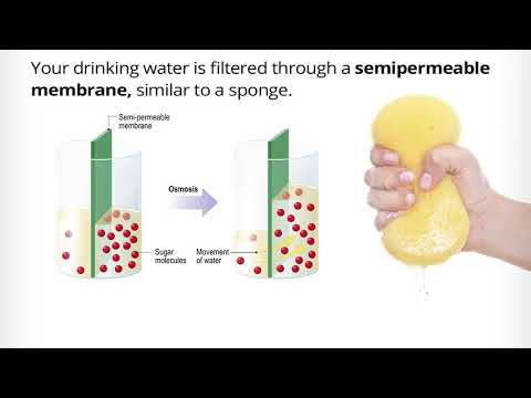 Reverse Osmosis (R.O.) Water Filters & Filter Systems | Pelican Water Systems