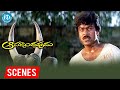 Aapadbandhavudu Movie Scenes Chiranjeevi Bull Fight Scene Jandhyala K Viswanath IDream