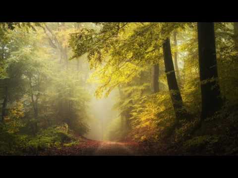 Allies For Everyone - It Takes All Kinds