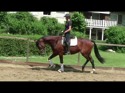 Emilia Clark 2016 Dressurpferde A Fertig