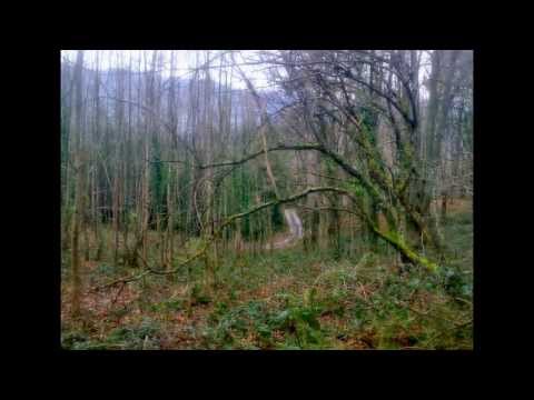 POR LAS CAMPAS DE LAZKAO