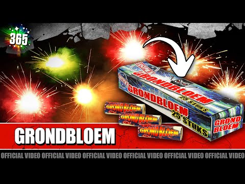 Grondbloem Easypack 25