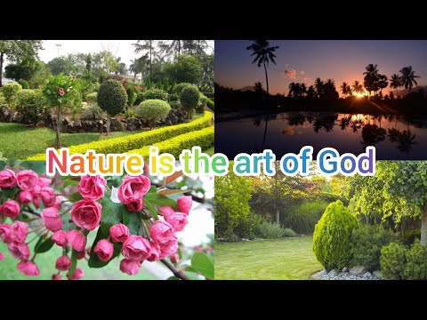 #sunrise|| all about nature||how beautiful is natural||specially for nature lovers 🌅