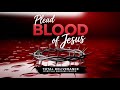 Plead The Blood Of Jesus A Prayer For Total Protection Deliverance