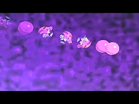 Sally Exe: Finished Nightmare Soundtracks: 33. Interdimensional