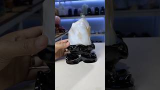 Gỗ Hóa Thạch Thiên Nhiên Loại Đẹp 22cm – Vật Trang Trí Sưu Tầm Độc Đáo