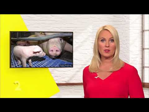 Anja Petzold 22 06 2017