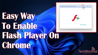 Flash Player For Chrome 2024 | How To Enable Flash Player On Chrome | Enable Flash Player