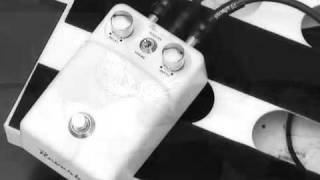 Video thumbnail for ToneBug Reverb high by T-Rex Effects