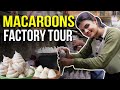 தூத்துக்குடி Macaroons Factory Tour ️ Bakery ல இப்படி ஒர