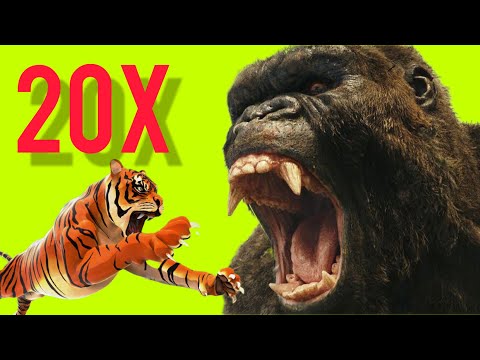 Mobile Animal Revolt Battle Simulator. Goro (King Kong) VS 20 Tigers