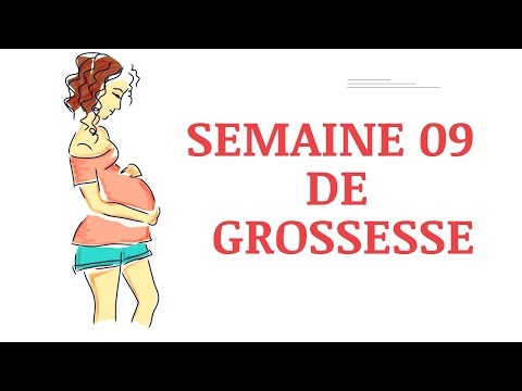 Neuvième semaine de grossesse : 9ème semaine de grossesse