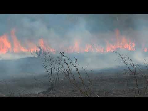 Stefan din Murgeni - Incercat pe drumul vietii (Official video) - 2019 -