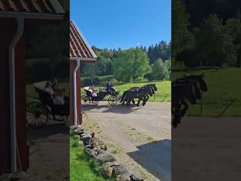 Bröllop på Älgbergets B&B