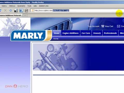 DotNetNuke Tutorial, Unlocking the login page - Video #31