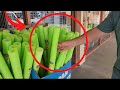 Everyone S Freaking Out Over His Genius Pool Noodle Walkway Idea