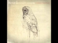 Peter Bradley Adams - Los Angeles lyrics