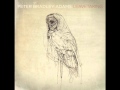Peter Bradley Adams - Los Angeles lyrics 