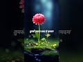 Tumse Hamara Wada He Hamdam Short Video Status