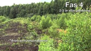 ScanPeat Torpa återställning