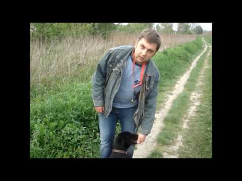 Nauka sygnału dźwiękowego 1. 2. #13