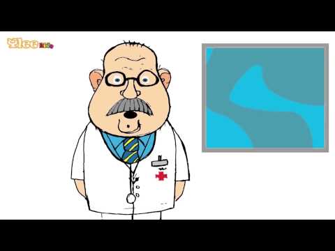 Pet majhnih opic  -  Fünf kleine Affen - Zweisprachiges Kinderlied - Yleekids