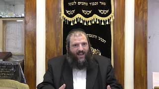 למה כשמתחילים דבר טוב זה הולך ונהיה קשה? קדושת לוי פרשת חיי שרה