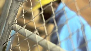 Lil B - Live Online (BOUT MY DOLLAZ) *MUSIC VIDEO* CLASSIC WESTCOAST MUSIC..WORLDWIDE VIBE!