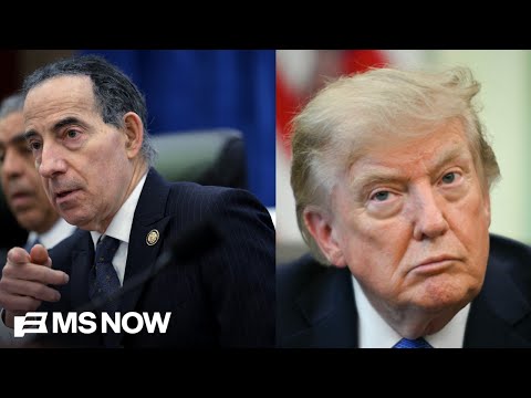 ‘Hold them accountable for every grift & rip-off’: Dems plan investigations into Trump business ties