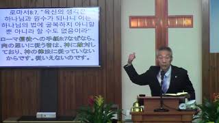 2018年7월29일, 로마서 16:17-20(우리를 미혹하는 것들의 머리를 상하게 하소서)