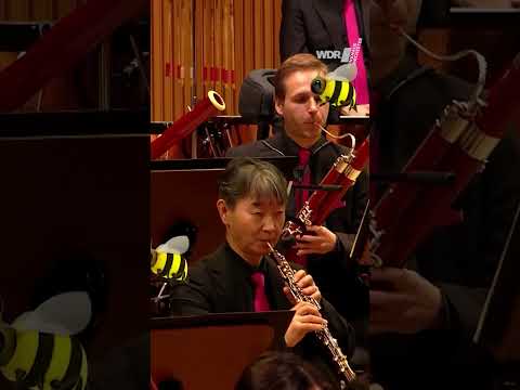 Not zzzo fazzzzzzzt!! 🐝😨🏎 #orchestra #tempo