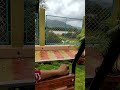 Pahli Barish Aur Pyaar Short Video By Smita Sana