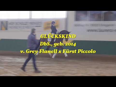 Video Vorschau von Grey Flanell