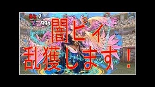 【パズドラ】３人マルチでピィ乱獲！【12回目】