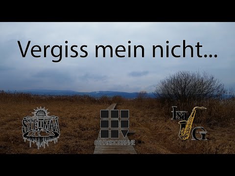 BShariroxanne - Vergiss mein nicht (feat. Steimaa and Isa G)
