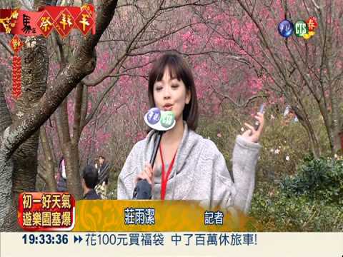 人海比花海還洶湧 陽明山大塞車!