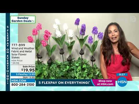HSN | Sunday Garden Deals Finale 05.29.2022 - 08 AM