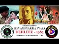 JEEVAN PYAR KA PYASA PANCHHI MEHDI HASSAN CHORUS DEHLEEZ 1983