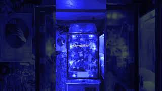 Rihanna - Rude Boy (Lyrics) | Come here rude boy boy can you get it up #rihanna #rudeboy