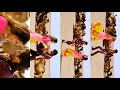 Saree Ke Fall Sa 4K FullScreen ️ Vertical ️ WhatsApp Status TN 75 EDITZ