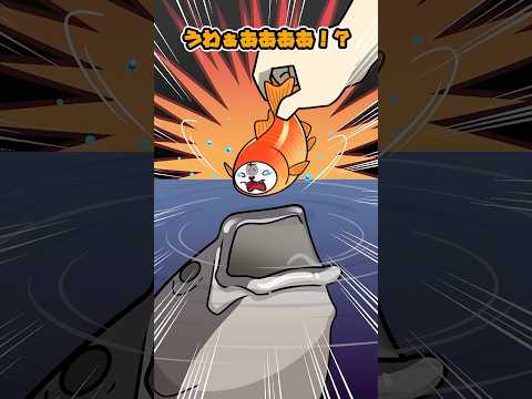 【実話】エサだった金魚が逃げ出して…