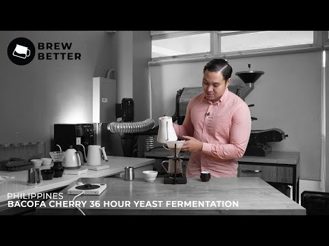 Brew Better: Philippines BACOFA Cherry 36 Hour Yeast Fermentation