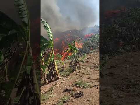 Lixão de novo Airão pegando fogo desde ontem e nada do bombeiro vim amenizar a situação