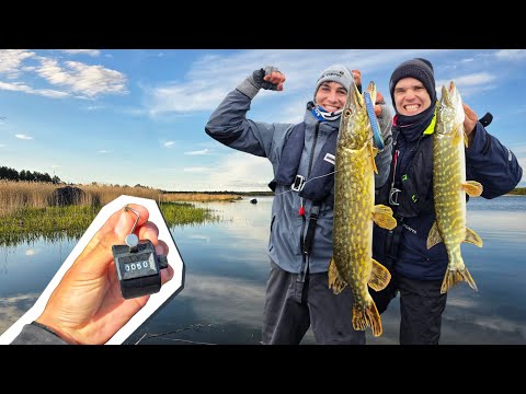 54 pike in one fishing day - pike fishing in seventh heaven